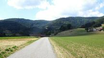 Blick auf die Wanderstrecke in Kapelleramt Nord 