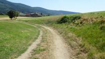  Blick auf die Wanderstrecke nach Kapelleramt 