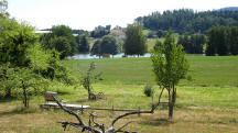  Fernblick zum Puschacher Teich 