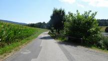 Blick auf die Wanderstrecke entlang des Puschacher Teich