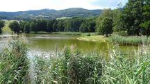  Blick auf den Puschacher Teich 