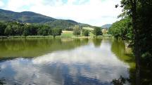  Blick auf den Puschacher Teich 