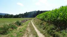  Blick auf die Wanderstrecke 