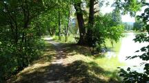 Blick auf die Wanderstrecke entlang des Waldteichs