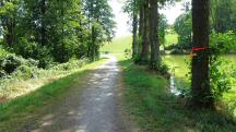 Blick auf die Wanderstrecke entlang des Waldteichs
