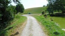 Blick auf die Wanderstrecke entlang des Waldteichs