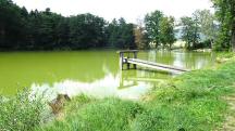  Blick auf den Waldteich 