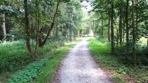  Blick auf die Wanderroute auf dem Promenadenweg 