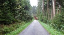  Blick auf die Wanderstrecke 