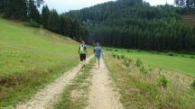  Blick auf die Wanderstrecke 