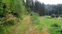  Blick auf die Wanderstrecke 