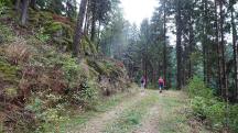  Blick auf die Wanderstrecke 
