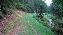  Blick auf die Wanderstrecke beim Nu�bach 