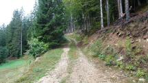  Blick auf die Wanderstrecke 