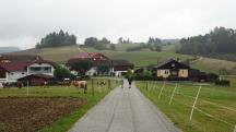 Blick auf die Wanderstrecke bei den Geh�ften Mayrhof