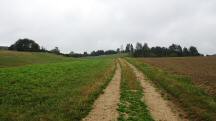  Blick auf die Wanderstrecke 