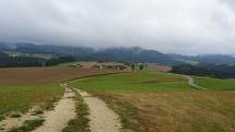  ein Blick zur�ck zu den Geh�ften Mayrhof 