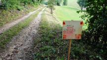  Blick auf die Wanderstrecke mit Infotafel 