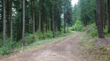  Blick auf die Wanderstrecke 