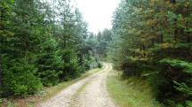  Blick auf die Wanderstrecke 