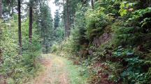  Blick auf die Wanderstrecke 