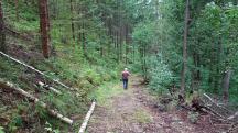  Blick auf die Wanderstrecke 