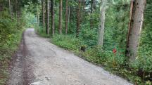  Blick auf die Wanderstrecke 