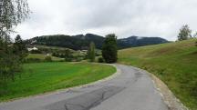  Blick auf die Wanderstrecke auf dem Herzogweg 