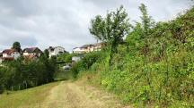  Blick auf die Wanderstrecke 