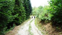  Blick auf die Wanderstrecke 