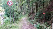  Blick auf die Wanderstrecke 