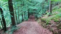  Blick auf die Wanderstrecke 