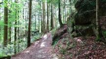  Blick auf die Wanderstrecke 