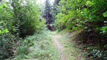  Blick auf die Wanderstrecke 