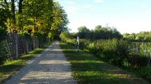  Blick auf die Wanderstrecke auf der Teichpromenade 
