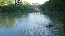 nochmals ein sch�ner Blick �ber die Teiche zum Schloss Sitzenberg