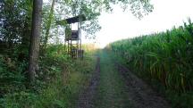  Blick auf die Wanderstrecke 