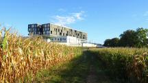 Blick auf die Wanderstrecke zum Gesundheitszentrum Resilienzpark Sitzenberg