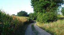  Blick auf die Wanderstrecke 