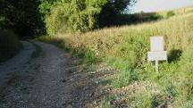 Blick auf die Wanderstrecke mit Infotafel 