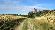 Blick auf die Wanderstrecke durch die Region "Oberer Sattel" 