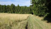 Blick auf die Wanderstrecke durch die Region "Oberer Sattel" 