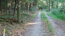Blick auf die Wanderstrecke durch die Region "Oberer Sattel" 