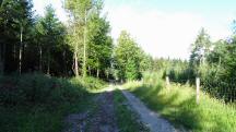 Blick auf die Wanderstrecke durch die Region "Oberer Sattel" 