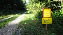  Blick auf die Wanderstrecke mit Infotafel 