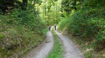  Blick auf die Wanderstrecke 