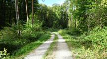  Blick auf die Wanderstrecke 