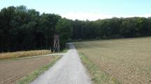  Blick auf die Wanderstrecke 