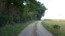  Blick auf die Wanderstrecke 