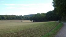  ein Blick zur�ck 